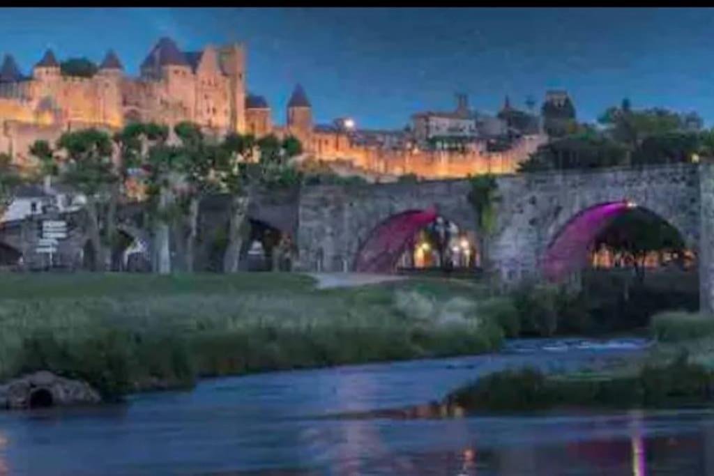 Appartement T2 Avec Vue Chateau Carcassonne Buitenkant foto