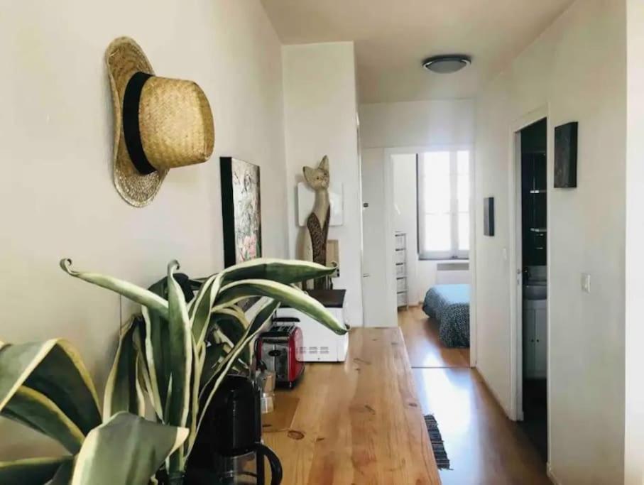 Appartement T2 Avec Vue Chateau Carcassonne Buitenkant foto