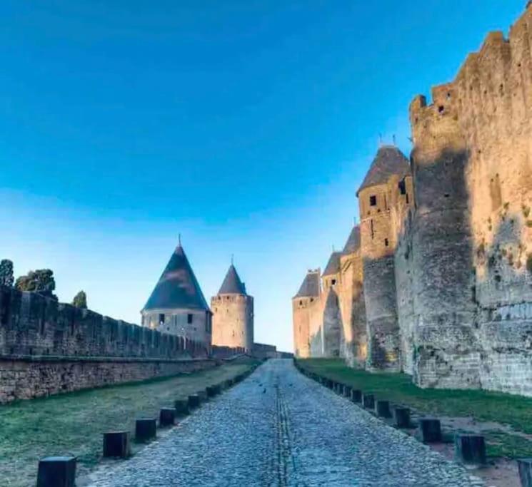 Appartement T2 Avec Vue Chateau Carcassonne Buitenkant foto