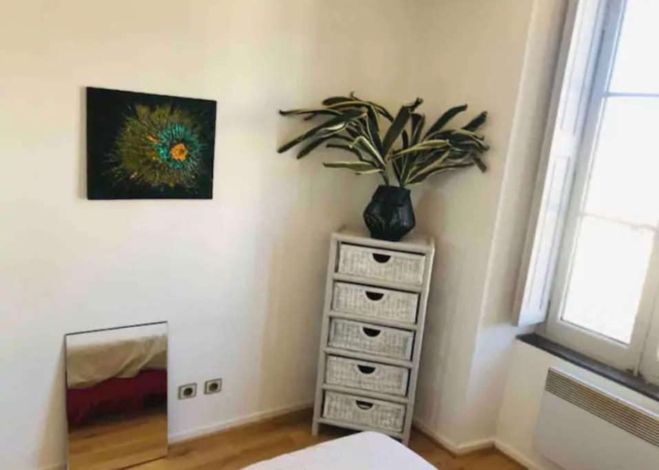 Appartement T2 Avec Vue Chateau Carcassonne Buitenkant foto